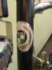 rower 007.jpg