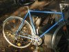 Peugeot Rennrad blau.jpg