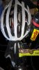 WP_20160610_08_36_21_Rich_LI.jpg
