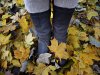 Herbstspaziergang.jpg