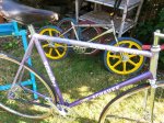 20160924_124527.jpg