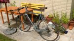 WP_20170603_042.jpg