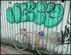 DSCF5477.JPG