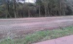 20171025_144046.jpg