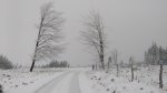 IMG_20171203_094549216.jpg