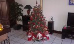 20171214_135703.jpg