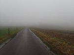 P1283525.JPG