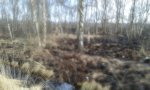 20180309_135546.jpg