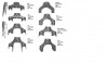 Cinelli fork crown history.jpg