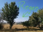 IMG-20180727-WA0019.jpg