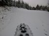 2012-12-09 MTB-3.jpg 2012-12-09 MTB-3.jpg