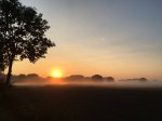 Herstlicher Morgennebel.JPG