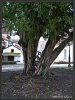 2012-12-23 Haslach-2.jpg