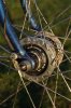 Condor Shimano generator DH3N80 Hub.JPG
