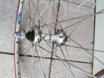 IMG_20190327_180141.jpg