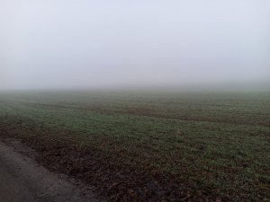 IMG_20191219_101544.jpg