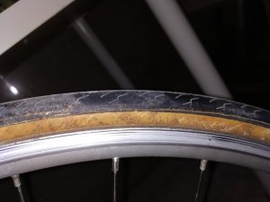 IMG_20200427_132709.jpg