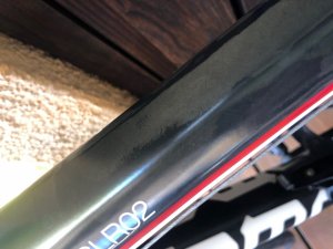 IMG_9130.jpeg