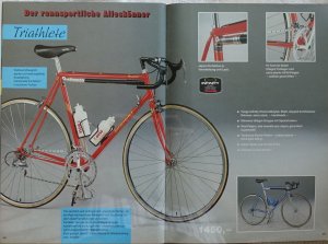 Rose 1988 - Nishiki Triathlete.jpg