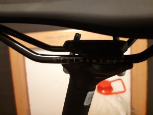 20200906_195235.jpg