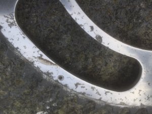 162E4DA2-530D-4114-B200-762A4B16A24A.jpeg
