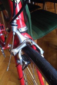IMG_20201031_1003156.jpg