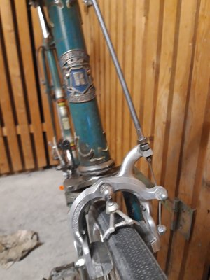 20201116_160843.jpg