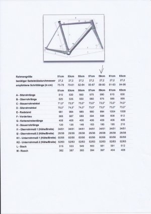 Rennrad Geometrie Rose Xeon CRS.jpg