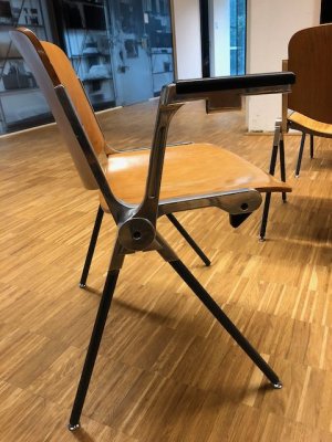IMG_0810.jpeg