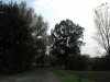 Baumberge 25.10.2008 014.jpg