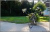 2013-08-09 Schloss Favorite-5.jpg