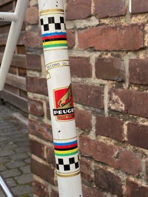 IMG_1551.JPG