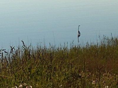 IMG_20210531_071759963.jpg