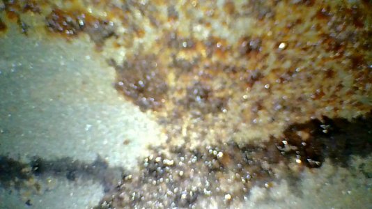 8C329090-5D0A-41FF-9A11-8F6A168249BA.jpeg
