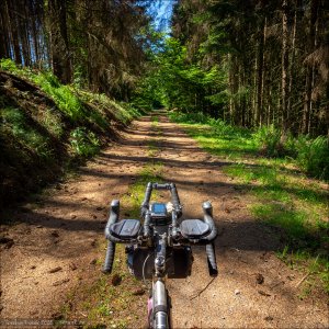 11388_0119-Waldweg-Cockpit_sqp_ig.jpg