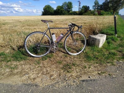 peugeot.jpg