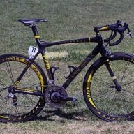 Livestrong2010