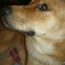 Lookover.at