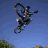 dominik_sp