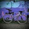 Profilbild von stahl.wade83