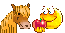 pony.gif