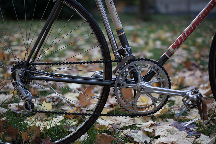 diamant-35-707-road-bike-w-campa-record-30864_3.jpg