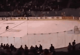 12.gif