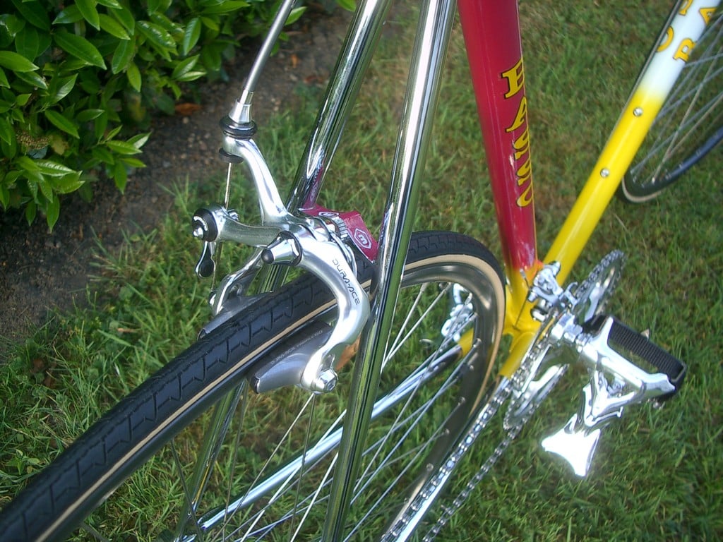 IMGP4913.JPG