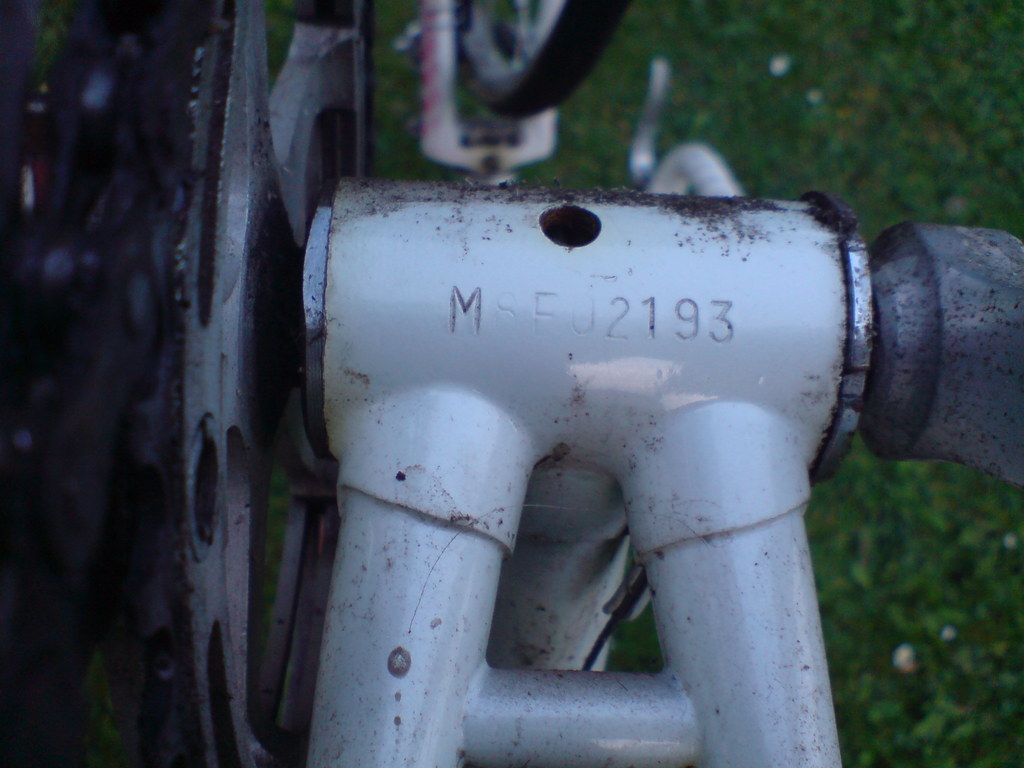 DSC00226.JPG