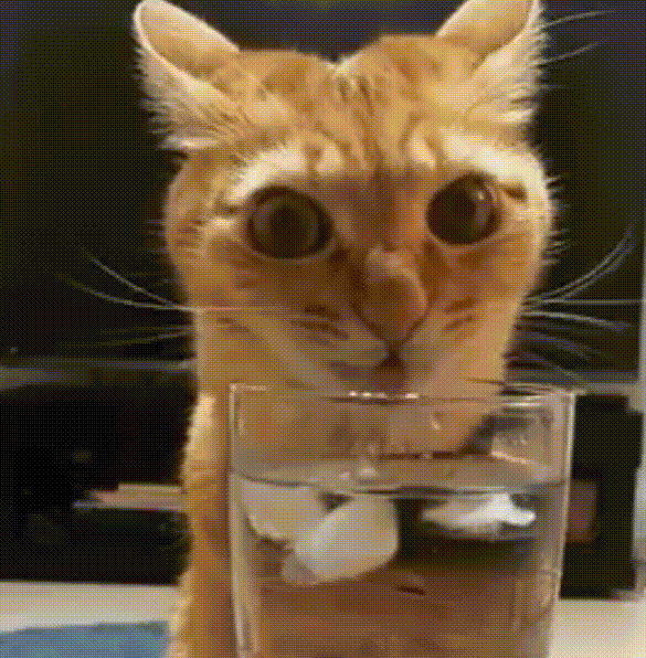 23.gif