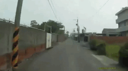 hornoxe.com_gifdump182_19.gif