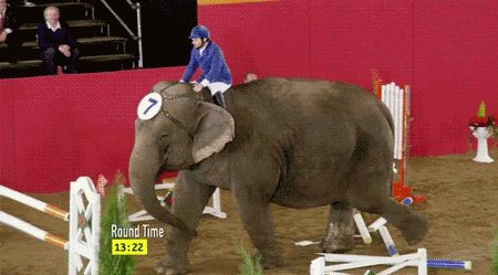animated-gifs-130-018.gif