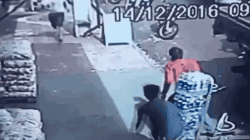 26313_001.gif