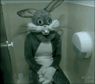 hornoxe.com_gifdump147_26.gif